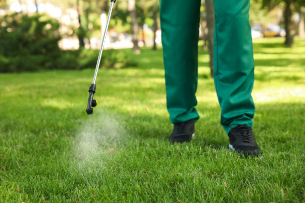 Best Flea Control Services  in The Village, OK