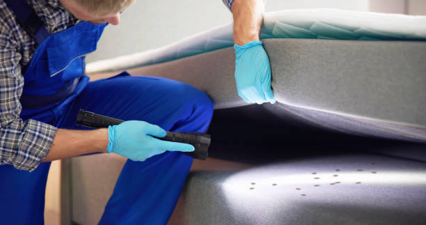 Best Exterminator Services  in The Village, OK