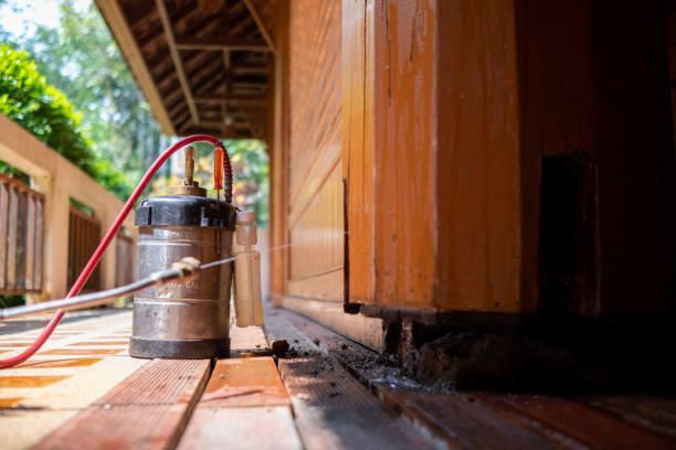 Best Affordable Pest Control Services  in The Village, OK