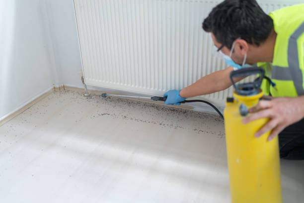 Best Bed Bug Extermination  in The Village, OK