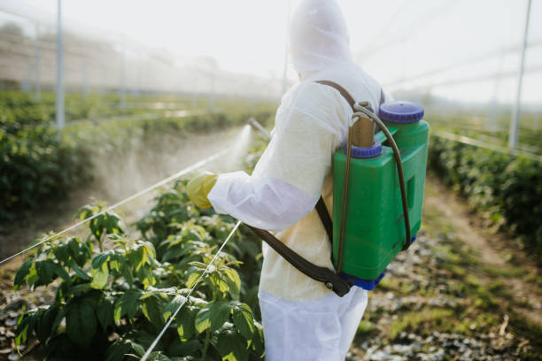 Best Ant Control Services  in The Village, OK